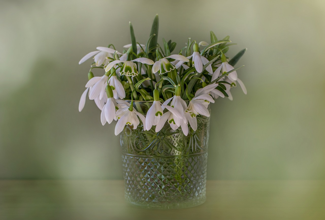 I Giganti Digitali Nati in un Garage Le Origini Inaspettate di Google, Apple e Facebook