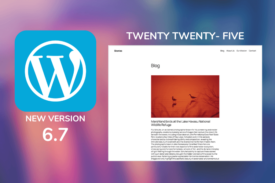 WordPress 6.7: Un Passo Silenzioso ma Decisivo per il CMS Leader