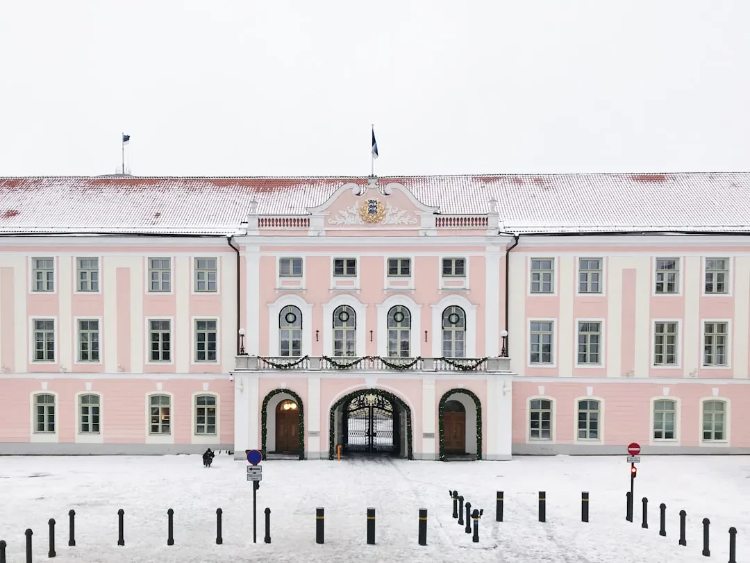 Estonia Opposes Child Social Media Bans EU Faces Scrutiny