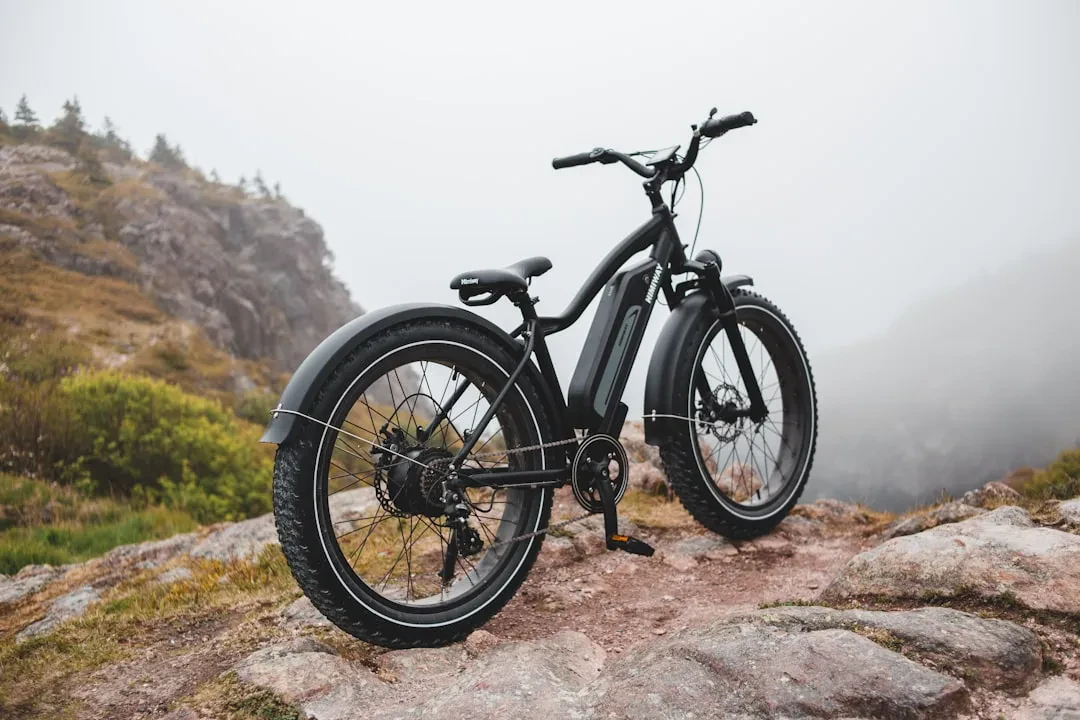 Lauf eElja, la mountain bike elettrica che si sente tradizionale