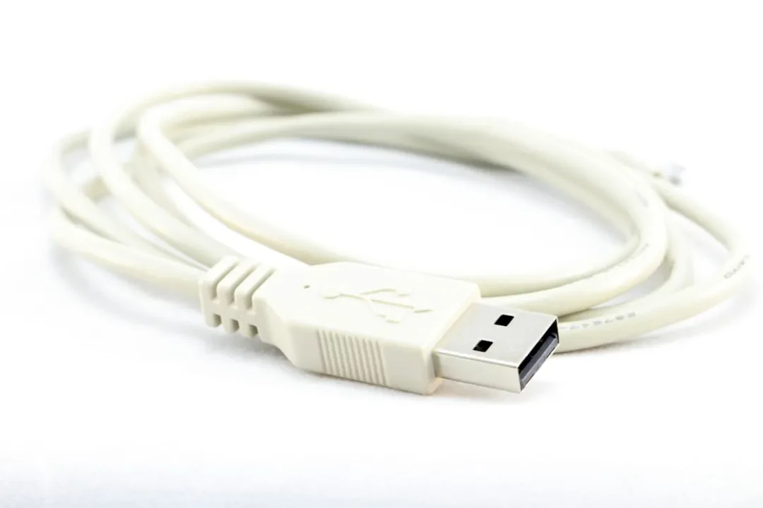 Porte USB Viola: Cosa Sono e Perché Sono Così Rare negli Stati Uniti
