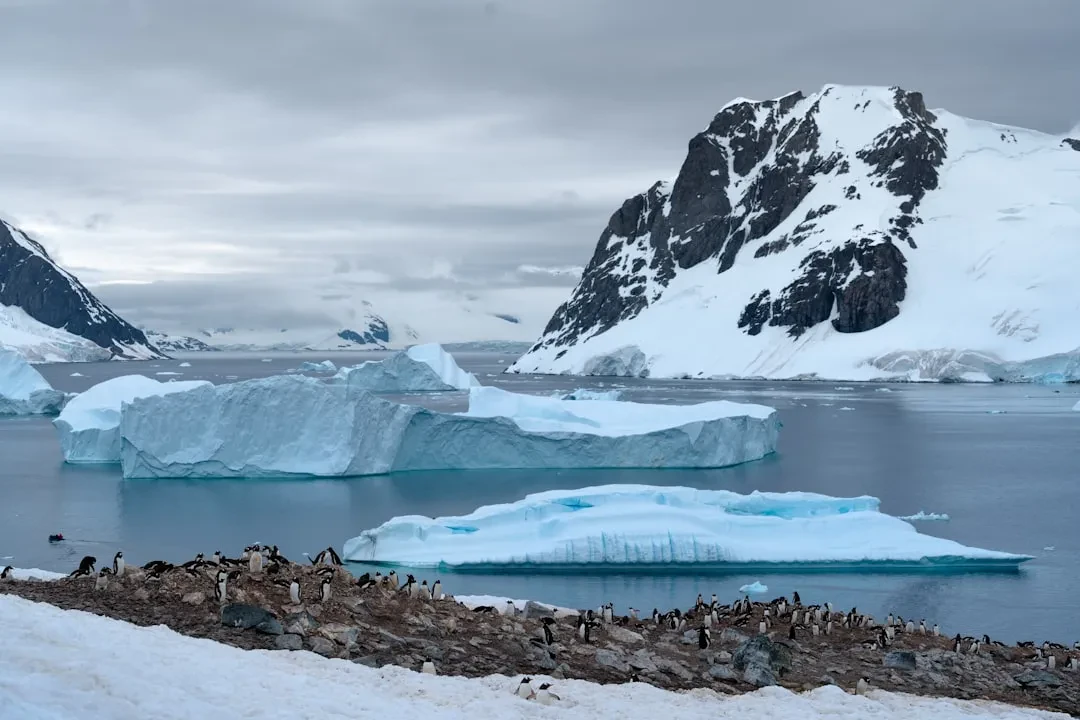 West Antarctica Is Missing Far Too Much Sea Ice, Scientists Warn