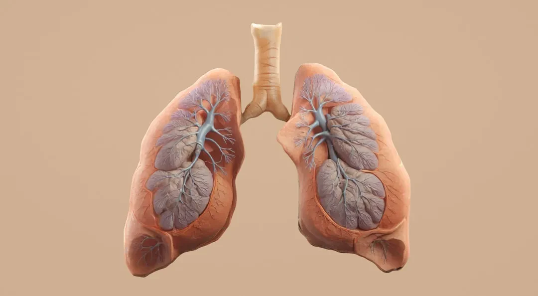 MIT sviluppa un test del respiro che diagnostica la polmonite in dieci minuti