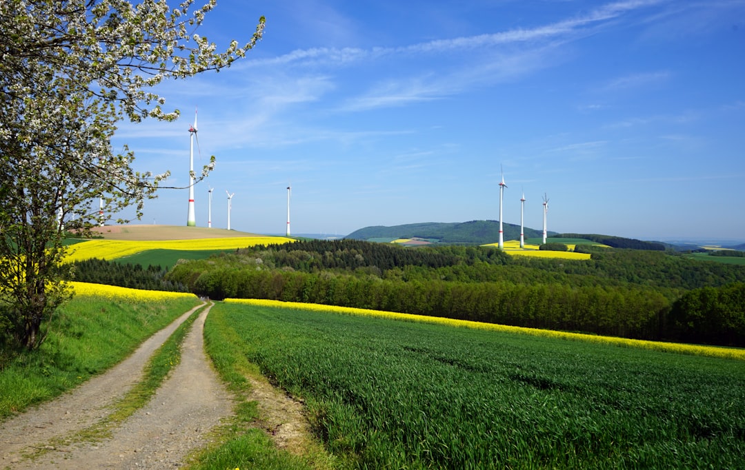 Europe Heat Wave Cripples Power Grid — Italy Faces Digital Blackout Risk