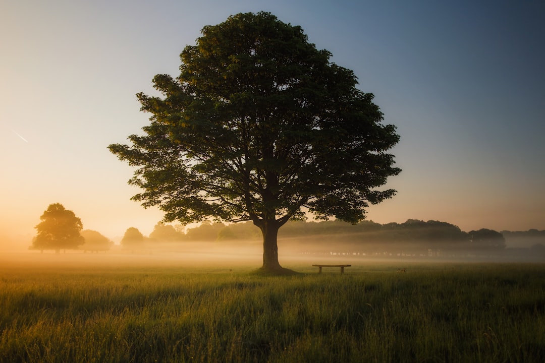 Tree of Thoughts — Solve Complex Problems with LLMs (Advanced Prompt Engineering)