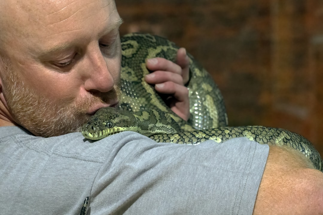 NLP con BERT e GPT su Hugging Face — Modelli Pronti, Costi Reali e Deploy per la Tua PMI