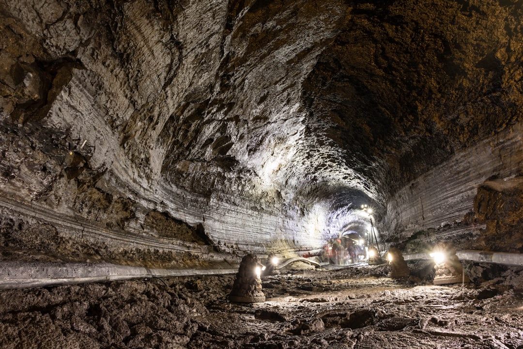 Global fungal network mapped for the first time: 110 quadrillion kilometers of underground filaments