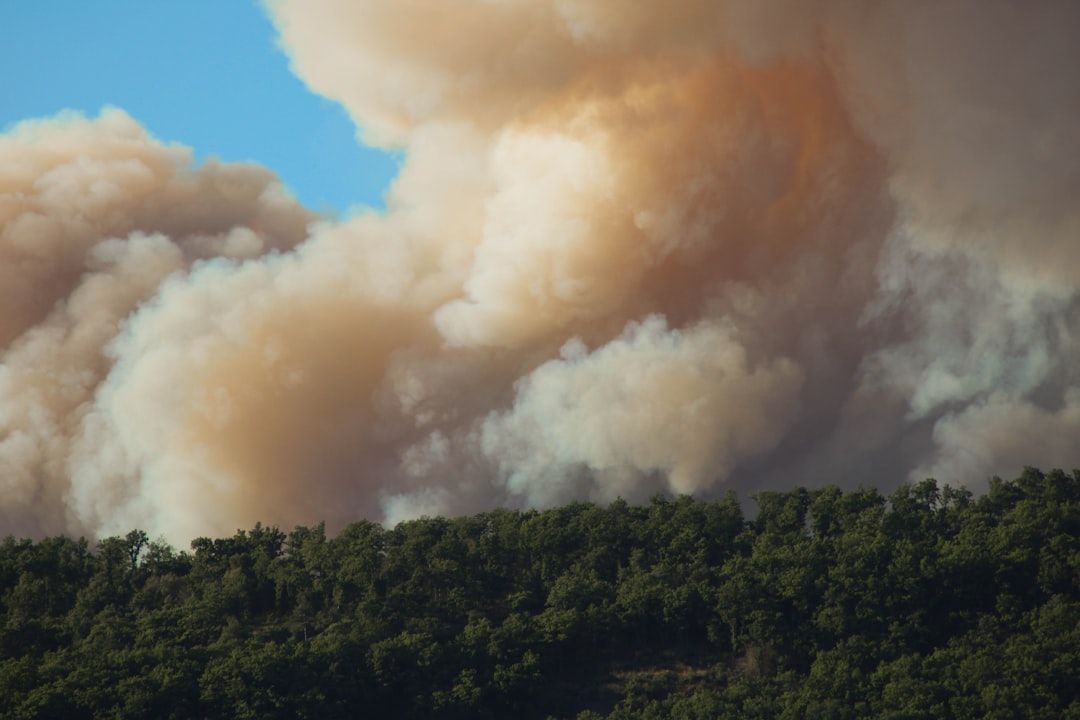 Wildfire Prediction Markets Raise Ethical Concerns and Arson Risks