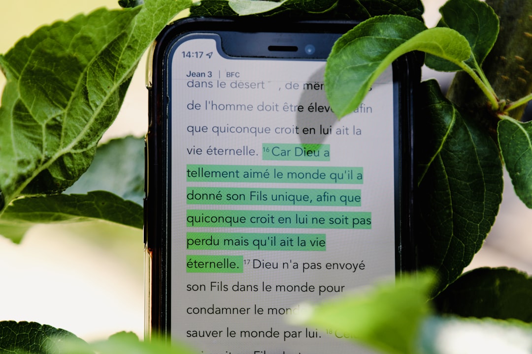 E-commerce Italiano con AI — Come Scrivere Descrizioni SEO e Inserire Chatbot Senza Sprecare Budget