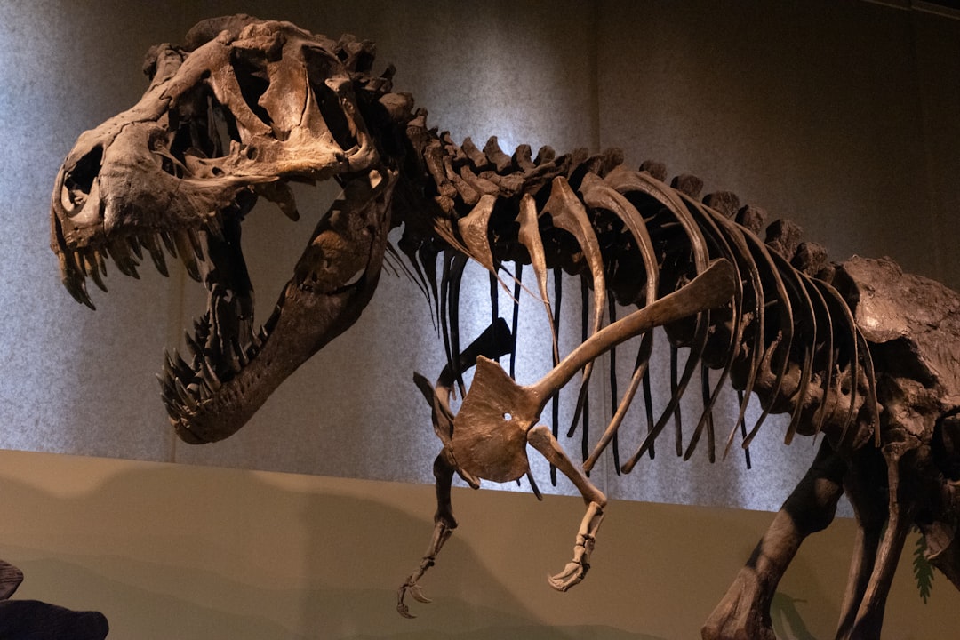 Sotheby's Auction of T. Rex Gus Raises Concerns Over Science and Private Collectors
