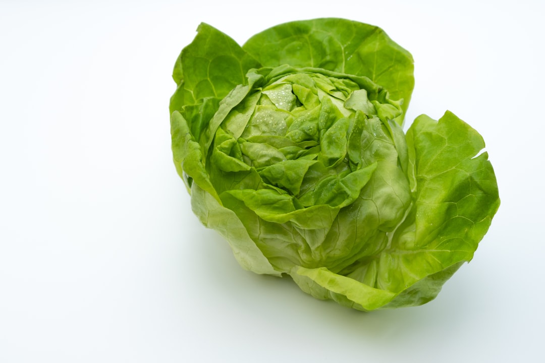 Taylor Farms Disputes FDA Tests on Cyclospora-Contaminated Lettuce
