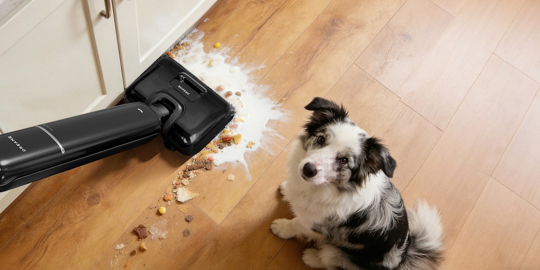 I migliori aspirapolvere per peli di animali domestici 2026: testati e confrontati