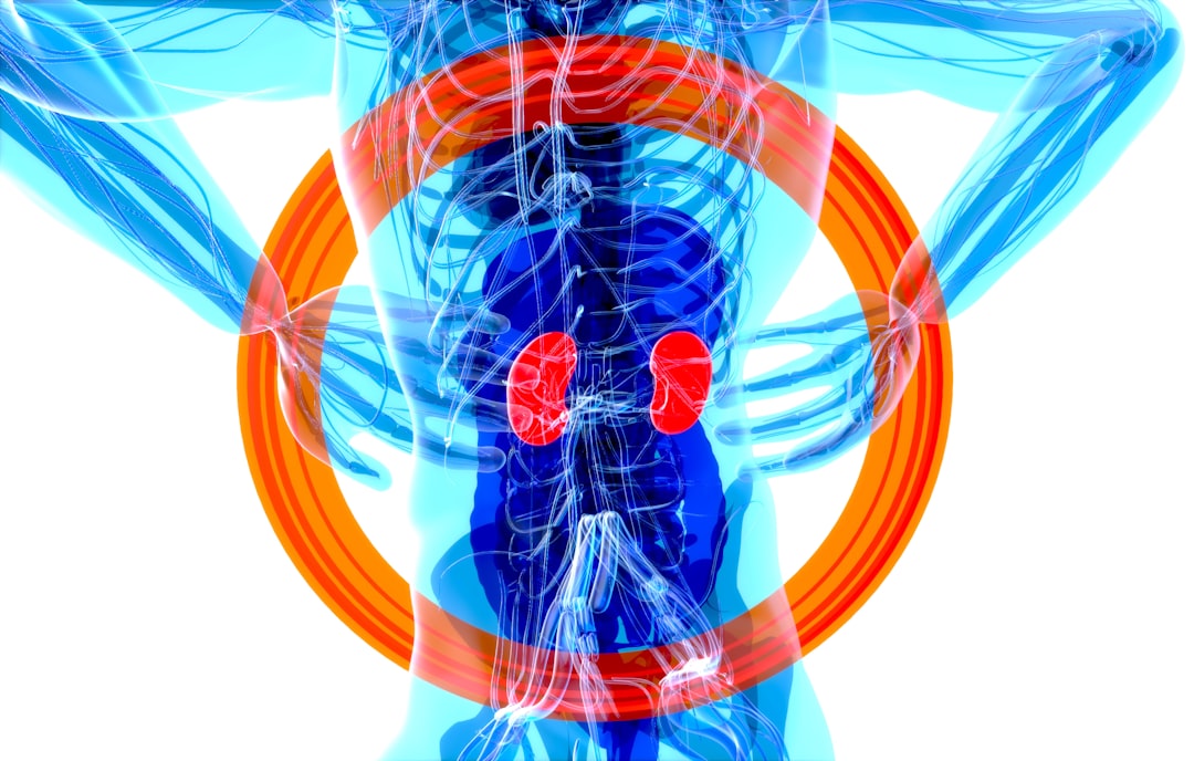 Organ preservation: ha senso per l'Italia solo se si investe in digitale e infrastruttura