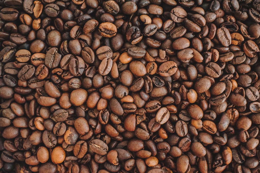 Abbonamenti al caffè 2026: 12 servizi testati da WIRED per non restare mai senza