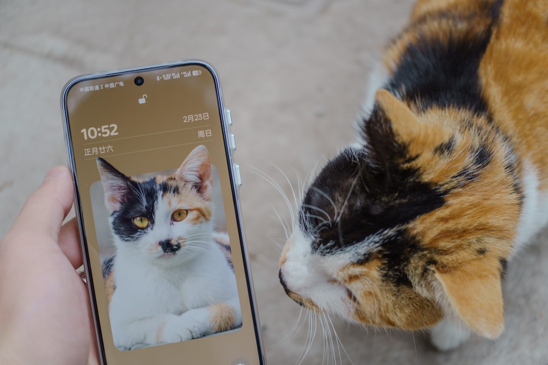 International Cat Day 2026 7 ChatGPT prompts to understand and celebrate your feline friend