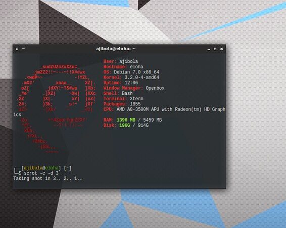 Debian: che cos'è, come funziona e perché è il cuore di Linux