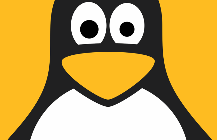 Linux: che cos’è, come funziona e perché domina i server