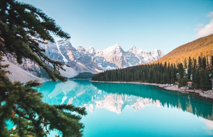 Vizio Walmart, mercato digitale, elettronica di consumo, acquisizione tecnologica, trend tecnologici